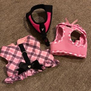 Dog harnesses small girl dog